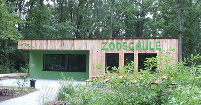 Zum Artikel
